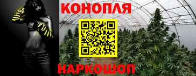 ПСИЛОЦИБИНОВЫЕ ГРИБЫ Краснодар