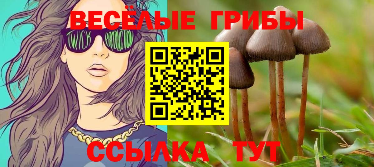 Каспийск  Галлюциногенные грибы GOLDEN TEACHER  Вход с VPN 